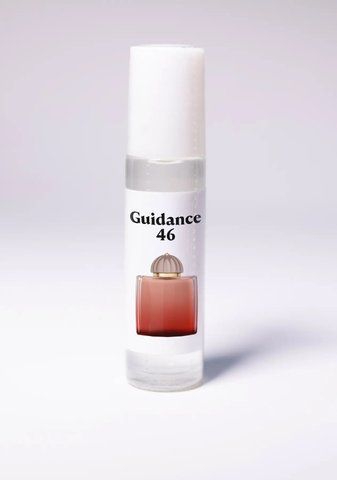 Guidance 46