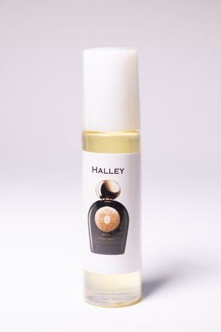 Halley Po255HTT фото