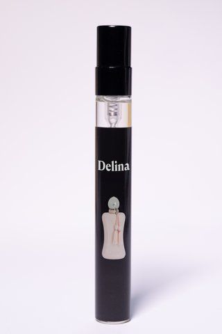 Delina PoS978D фото